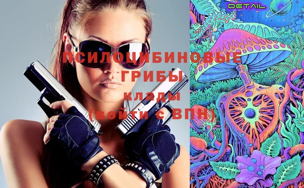 эйфоретик Вязники
