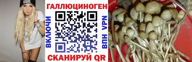 Галлюциногенные грибы прущие грибы  где купить   Галич 